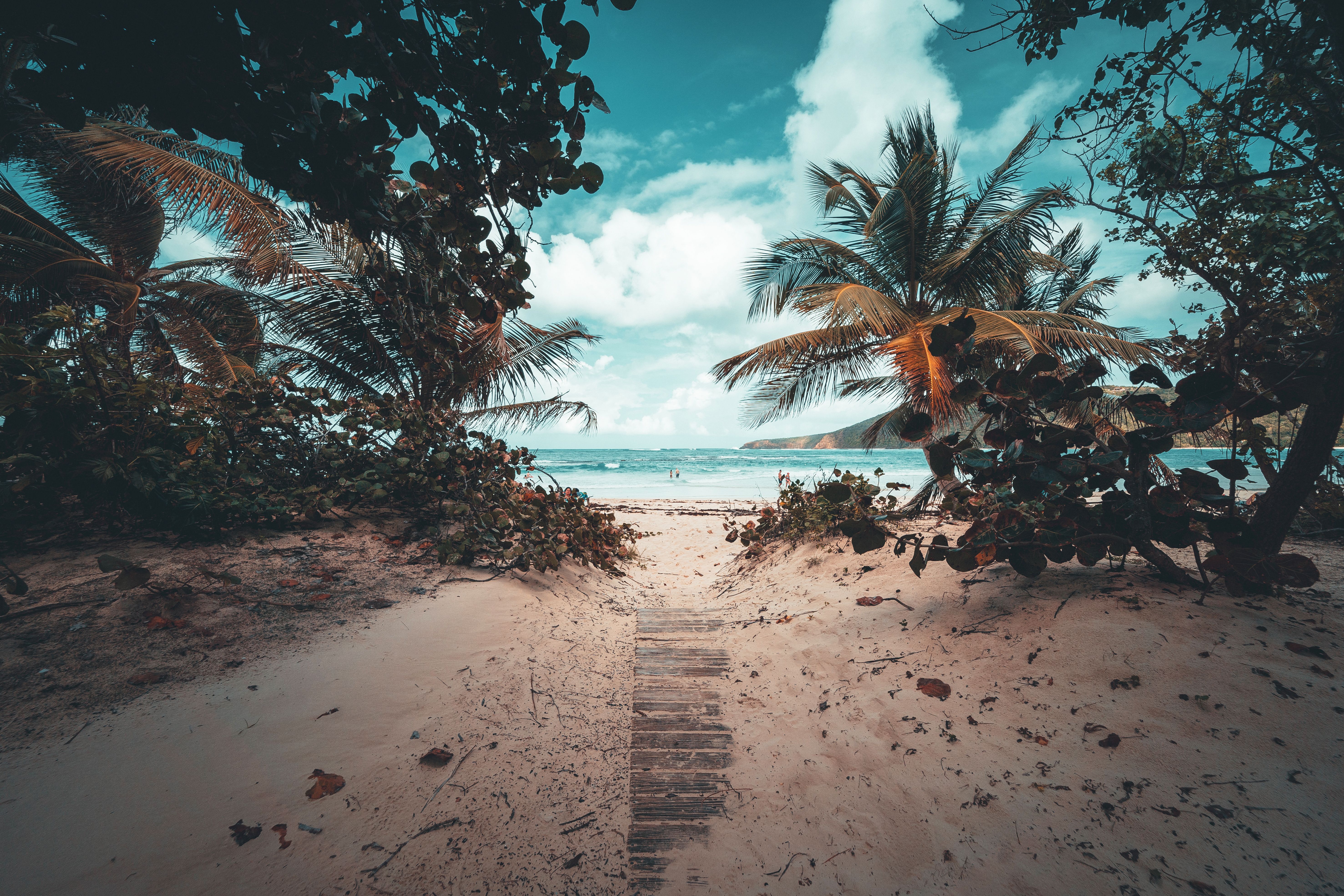 Caribbean