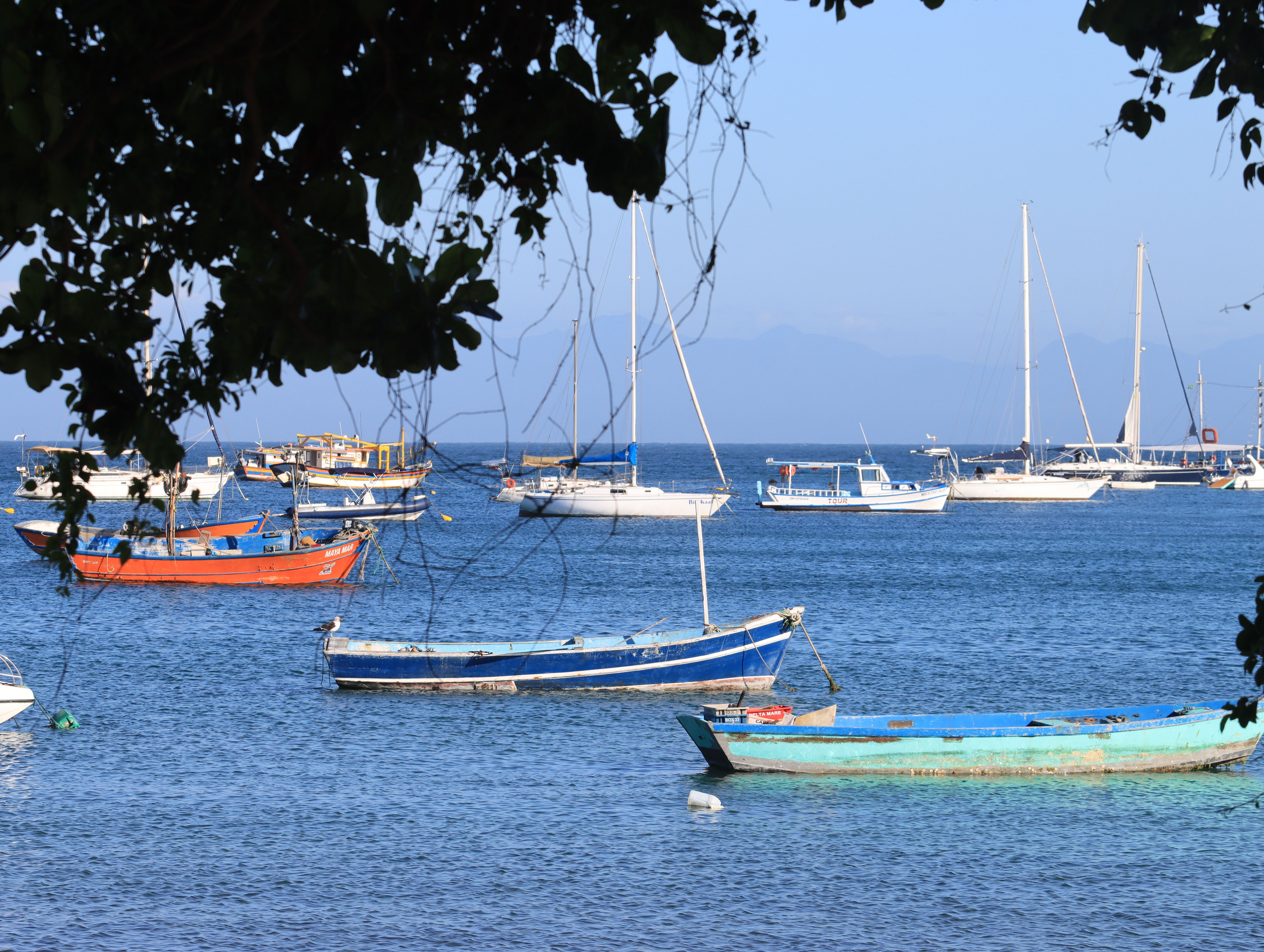 Jamaica